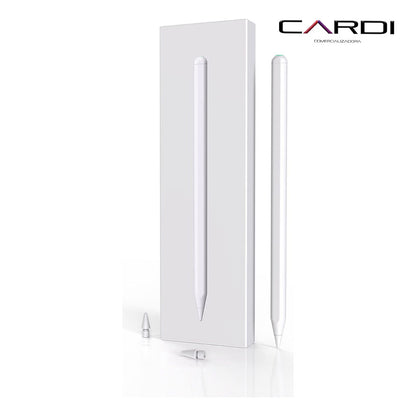 Apple pencil 1.1 ***